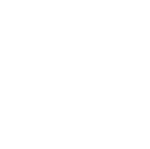 ZN Wellness Logo